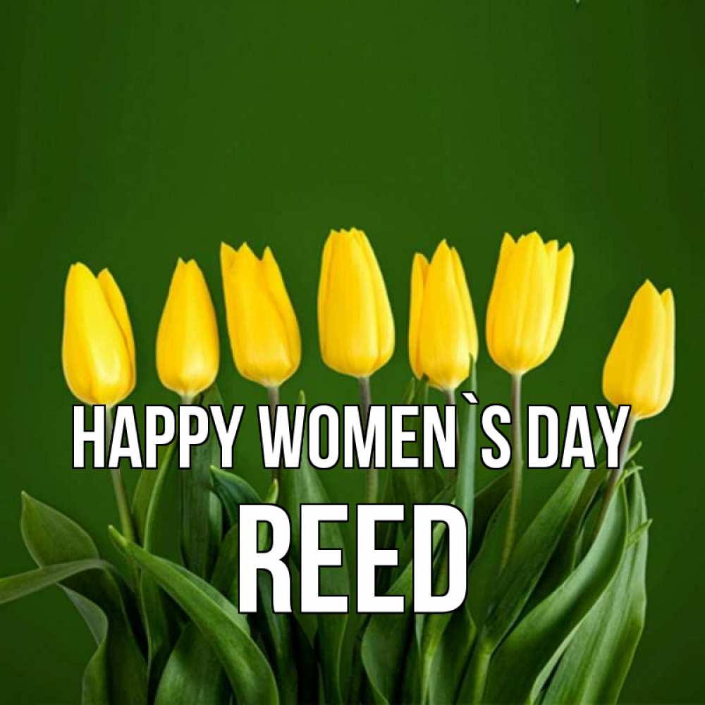 Greetings card с именем, Reed happy women`s day желтого цвета 3 Greetings with text for free download 